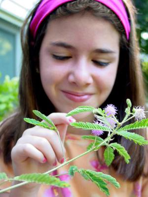 Every child smiles when they see a TickleMe Plant Move!